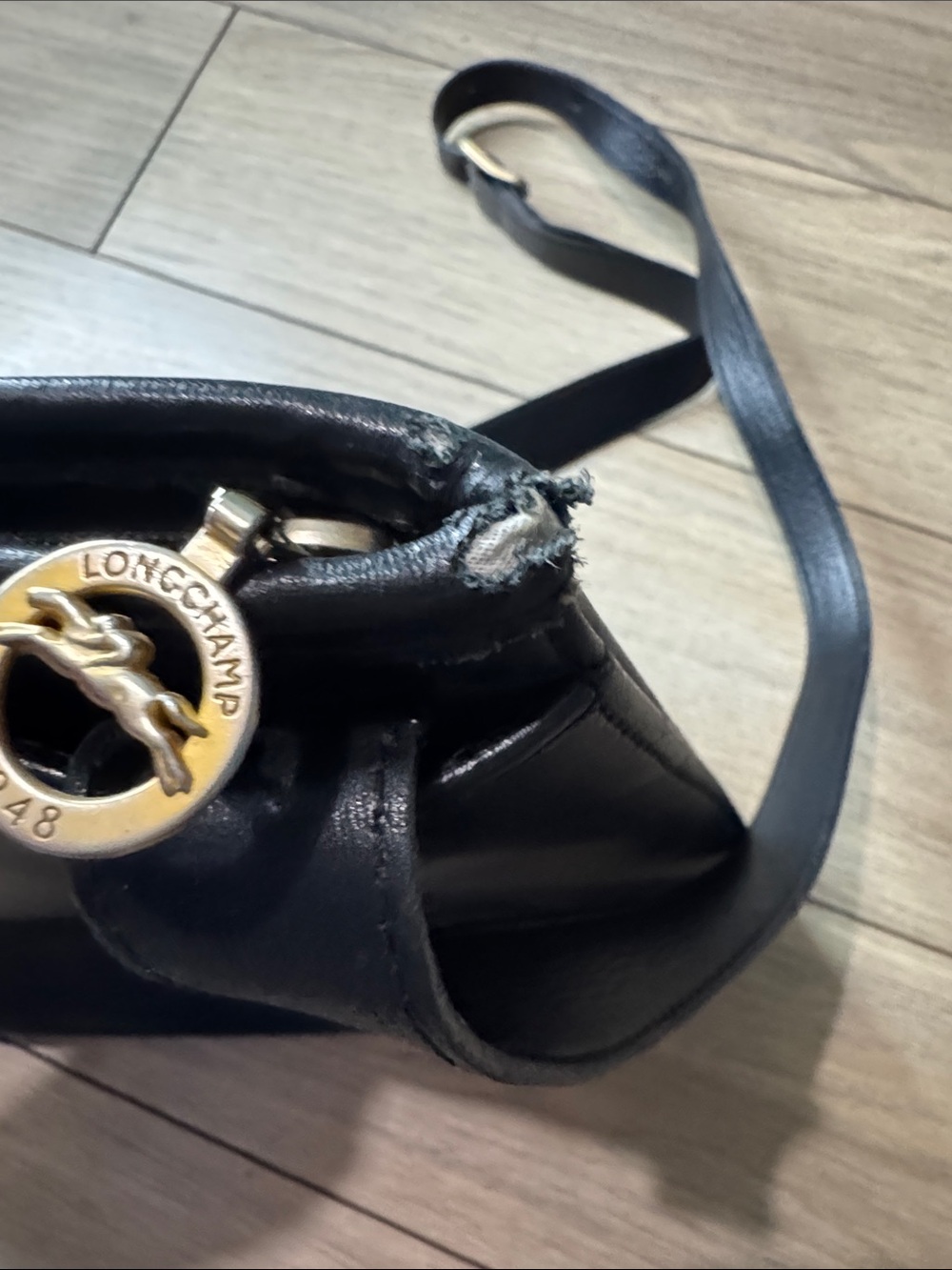 Gorgeous Longchamp Roseau Bamboo Toggle Bag - Picture 11 of 16
